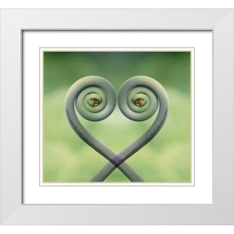 Hawaii Frond montage at Akaka Falls State Park White Modern Wood Framed Art Print with Double Matting by Bush, Marie