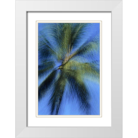USA, Hawaii Palm tree montage White Modern Wood Framed Art Print with Double Matting by Bush, Marie