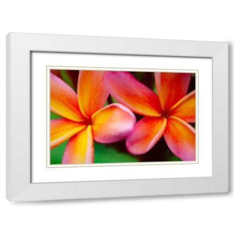 Hawaii-Kauai Abstract of plumeria flowers White Modern Wood Framed Art Print with Double Matting by Jaynes Gallery