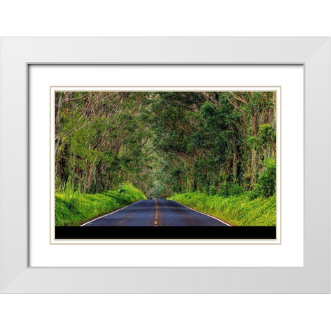 Tree tunnel of Eucalyptus trees line Maliuhi Road near Koloa in Kauai-Hawaii-USA White Modern Wood Framed Art Print with Double Matting by Haney, Chuck