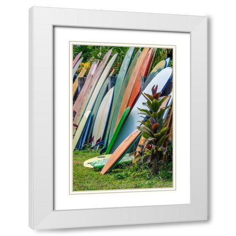 Surfboards and bodyboards-Kauai-Hawaii-USA White Modern Wood Framed Art Print with Double Matting by Engelbrecht, Jim