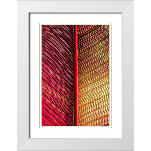 Tropical Vibes White Modern Wood Framed Art Print with Double Matting by Engelbrecht, Lisa S.