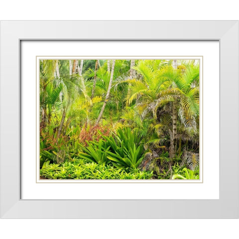 Hawaii-Maui-Hana-garden on the road to Hana with palms and bromide plants White Modern Wood Framed Art Print with Double Matting by Gulin, Sylvia