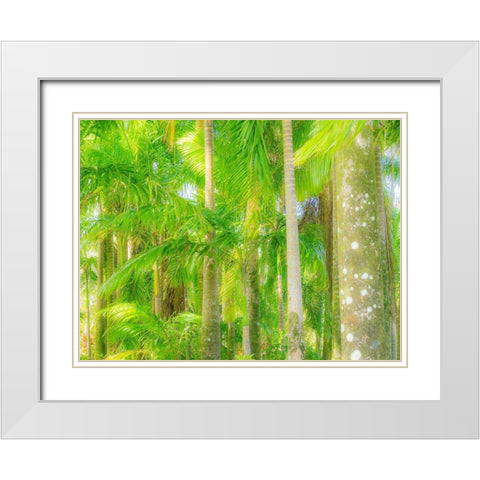 Hawaii-Maui-Road to Hana and the lush tropical Palm Trees White Modern Wood Framed Art Print with Double Matting by Gulin, Sylvia