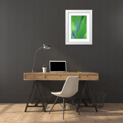 Hawaii-Kauai-Banana leaves White Modern Wood Framed Art Print with Double Matting by Gulin, Sylvia