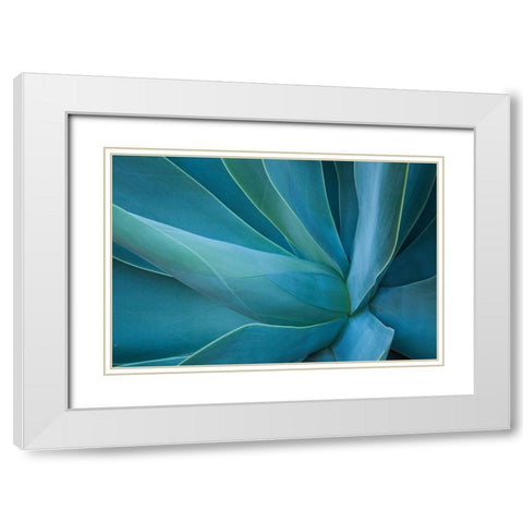 Hawaii-Maui-Kula-agave plant design White Modern Wood Framed Art Print with Double Matting by Gulin, Sylvia