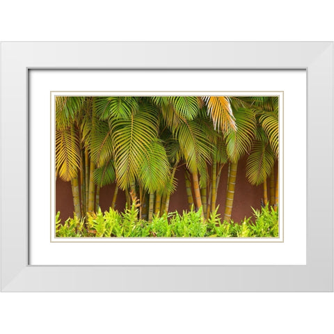 Hawaii-Maui-Kihei-Palm trees growing along wall White Modern Wood Framed Art Print with Double Matting by Gulin, Sylvia