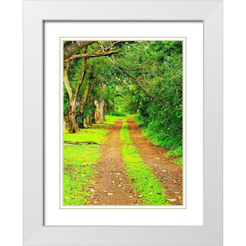 Hawaii-Kauai-gravel tree lined road White Modern Wood Framed Art Print with Double Matting by Gulin, Sylvia