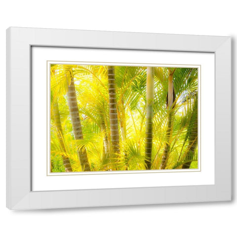 Hawaii-Maui-Up Country-Kula-Kula Botanical Gardens with small tropical palm trees White Modern Wood Framed Art Print with Double Matting by Gulin, Sylvia