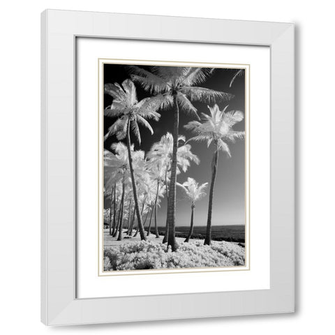 USA-Hawaii-Kauai-Infrared of palm trees of Kauai White Modern Wood Framed Art Print with Double Matting by Eggers, Terry