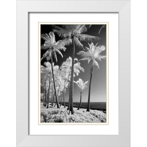 USA-Hawaii-Kauai-Infrared of palm trees of Kauai White Modern Wood Framed Art Print with Double Matting by Eggers, Terry