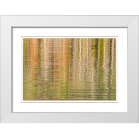 Idaho Fall reflections ripple on Redfish Lake White Modern Wood Framed Art Print with Double Matting by Paulson, Don
