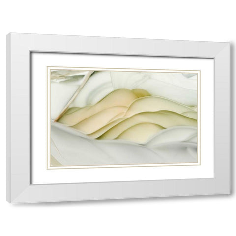 USA, Idaho Close-up of Willow Creek Jasper stone White Modern Wood Framed Art Print with Double Matting by Kirkland, Dennis