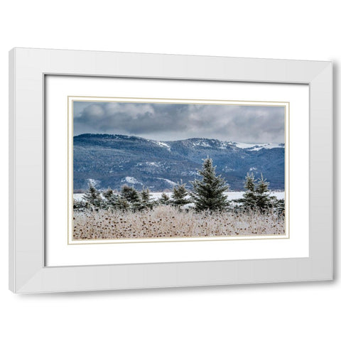 Evergreen trees in winter with Teton Mountains in distance-Driggs-Idaho White Modern Wood Framed Art Print with Double Matting by Garber, Howie