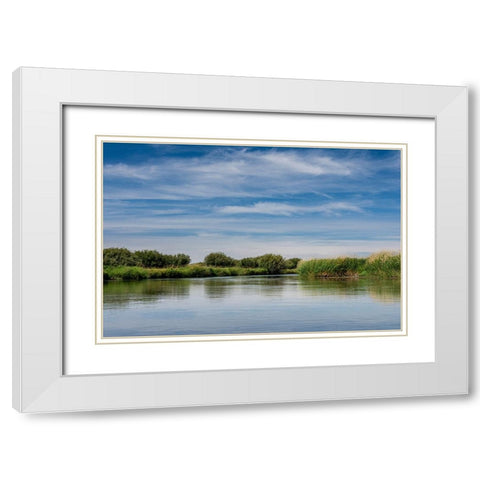 USA-Idaho-Teton River-willows and wetland near Driggs White Modern Wood Framed Art Print with Double Matting by Garber, Howie