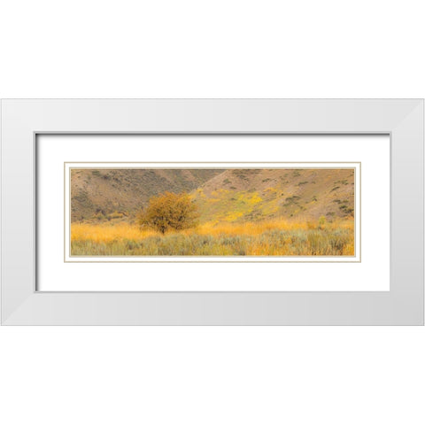 Idaho-Highway 89-Montpelier-Lone tree golden autumn colors White Modern Wood Framed Art Print with Double Matting by Gulin, Sylvia