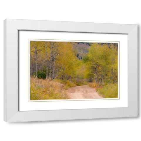 USA-Idaho-Highway 36 west of Liberty dirt road and Aspens in autumn White Modern Wood Framed Art Print with Double Matting by Gulin, Sylvia
