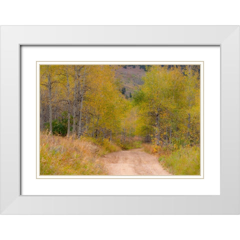 USA-Idaho-Highway 36 west of Liberty dirt road and Aspens in autumn White Modern Wood Framed Art Print with Double Matting by Gulin, Sylvia