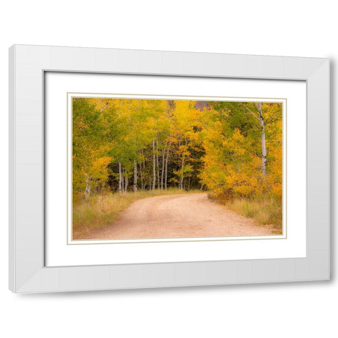 USA-Idaho-Highway 36 west of Liberty dirt road and Aspens in autumn White Modern Wood Framed Art Print with Double Matting by Gulin, Sylvia