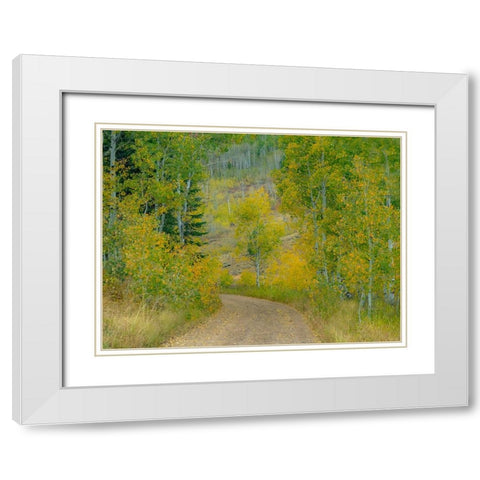 USA-Idaho-Highway 36 west of Liberty dirt road and Aspens in autumn White Modern Wood Framed Art Print with Double Matting by Gulin, Sylvia