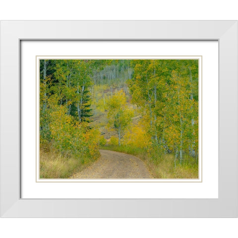 USA-Idaho-Highway 36 west of Liberty dirt road and Aspens in autumn White Modern Wood Framed Art Print with Double Matting by Gulin, Sylvia