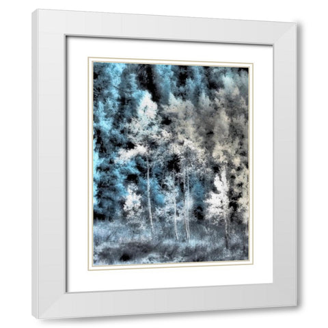 USA-Idaho-Aspens a with soft focus White Modern Wood Framed Art Print with Double Matting by Eggers, Terry