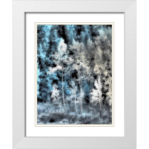 USA-Idaho-Aspens a with soft focus White Modern Wood Framed Art Print with Double Matting by Eggers, Terry