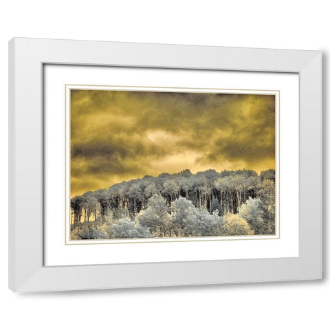 USA-Idaho-Aspens a with clouds White Modern Wood Framed Art Print with Double Matting by Eggers, Terry