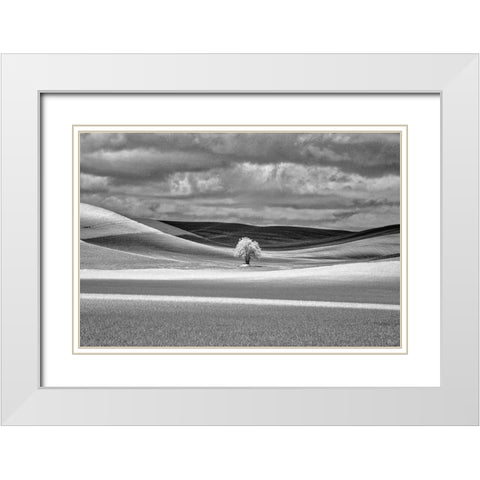 USA-Idaho-Palouse Country-Lone tree and Infrared Palouse fields White Modern Wood Framed Art Print with Double Matting by Eggers, Terry