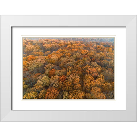 Aerial View of fall Color at sunrise-Marion County-Illinois White Modern Wood Framed Art Print with Double Matting by Day, Richard and Susan