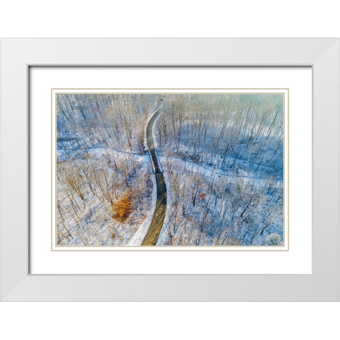Aerial view of forest and road after snowfall in winter Stephen A Forbes State Recreation Area White Modern Wood Framed Art Print with Double Matting by Day, Richard and Susan
