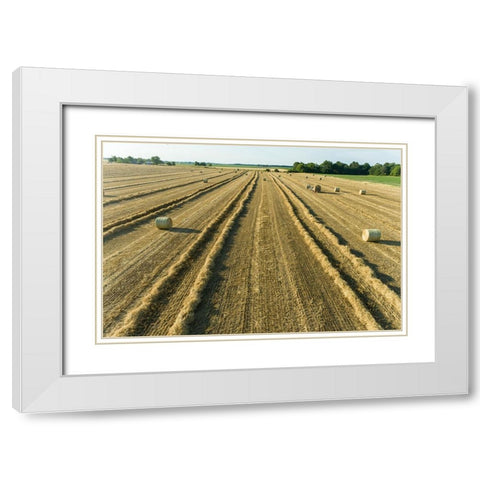 Aerial view of rows of wheat straw before baling and round bales-Marion County-Illinois White Modern Wood Framed Art Print with Double Matting by Day, Richard and Susan