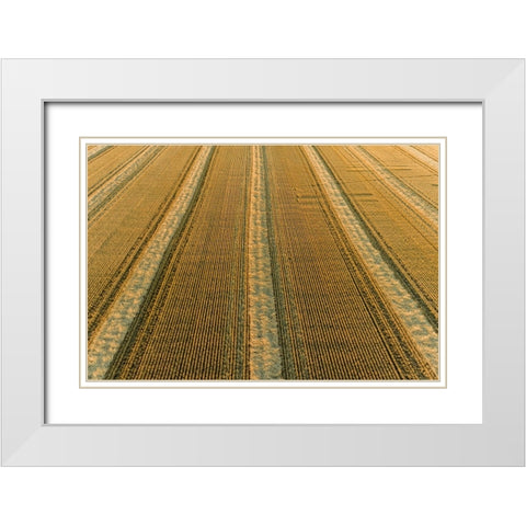 Aerial view of rows of wheat straw before baling-Marion County-Illinois White Modern Wood Framed Art Print with Double Matting by Day, Richard and Susan