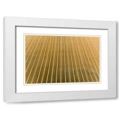 Aerial view of rows of wheat straw before baling-Marion County-Illinois White Modern Wood Framed Art Print with Double Matting by Day, Richard and Susan