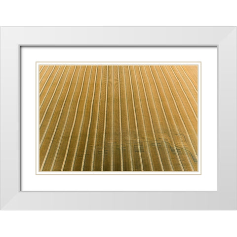 Aerial view of rows of wheat straw before baling-Marion County-Illinois White Modern Wood Framed Art Print with Double Matting by Day, Richard and Susan