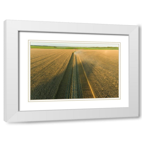 Aerial view of combine harvesting wheat at sunset-Marion County-Illinois White Modern Wood Framed Art Print with Double Matting by Day, Richard and Susan