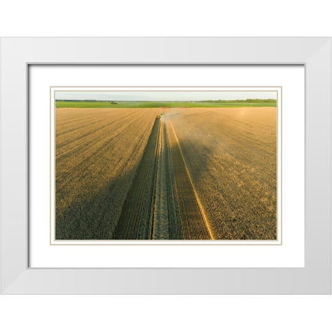 Aerial view of combine harvesting wheat at sunset-Marion County-Illinois White Modern Wood Framed Art Print with Double Matting by Day, Richard and Susan