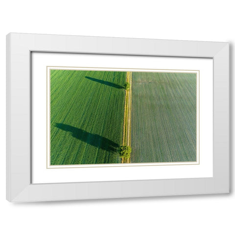Two trees and shadows between fields-Marion County-Illinois White Modern Wood Framed Art Print with Double Matting by Day, Richard and Susan
