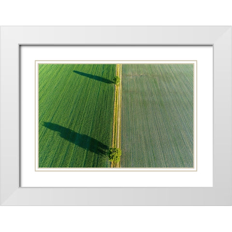 Two trees and shadows between fields-Marion County-Illinois White Modern Wood Framed Art Print with Double Matting by Day, Richard and Susan