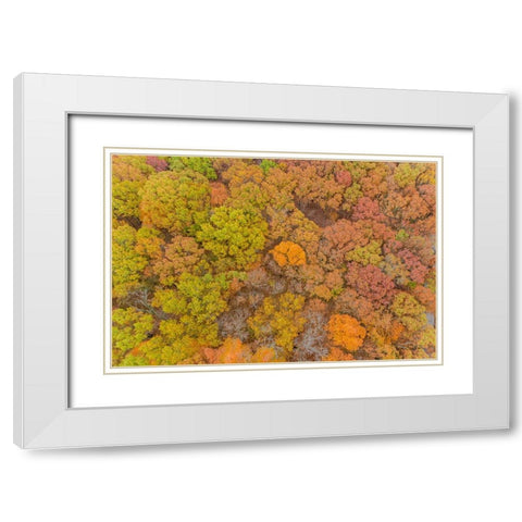 Aerial view of fall color-Marion County-Illinois White Modern Wood Framed Art Print with Double Matting by Day, Richard and Susan
