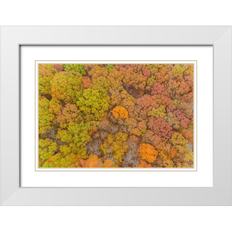 Aerial view of fall color-Marion County-Illinois White Modern Wood Framed Art Print with Double Matting by Day, Richard and Susan
