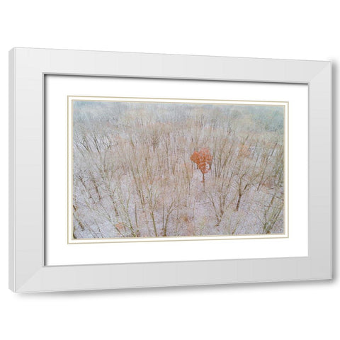 Aerial view of a fresh snow over the forest-Marion County-Illinois White Modern Wood Framed Art Print with Double Matting by Day, Richard and Susan