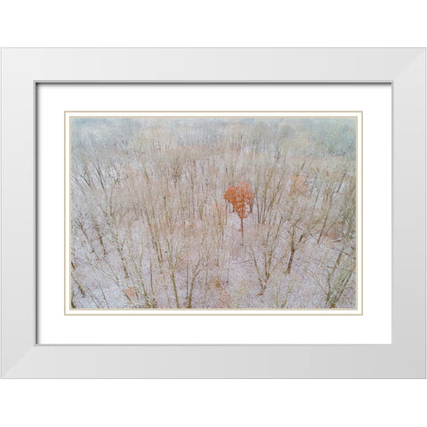 Aerial view of a fresh snow over the forest-Marion County-Illinois White Modern Wood Framed Art Print with Double Matting by Day, Richard and Susan