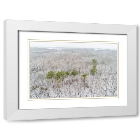 Aerial view of a fresh snow over the forest-Marion County-Illinois White Modern Wood Framed Art Print with Double Matting by Day, Richard and Susan