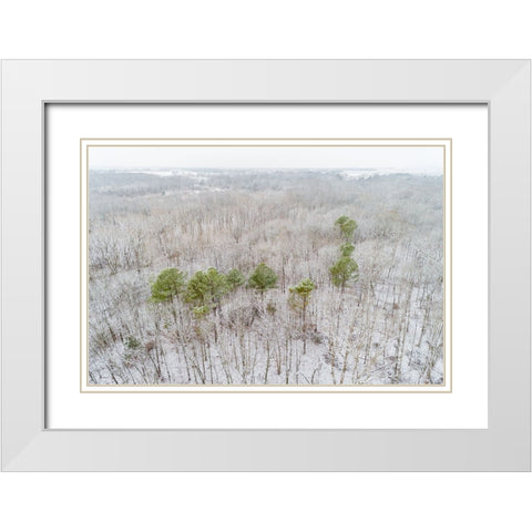 Aerial view of a fresh snow over the forest-Marion County-Illinois White Modern Wood Framed Art Print with Double Matting by Day, Richard and Susan