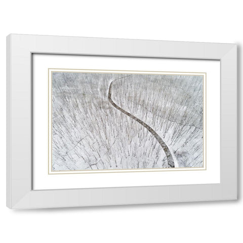 Aerial view of a fresh snow over the forest and road-Marion County-Illinois White Modern Wood Framed Art Print with Double Matting by Day, Richard and Susan
