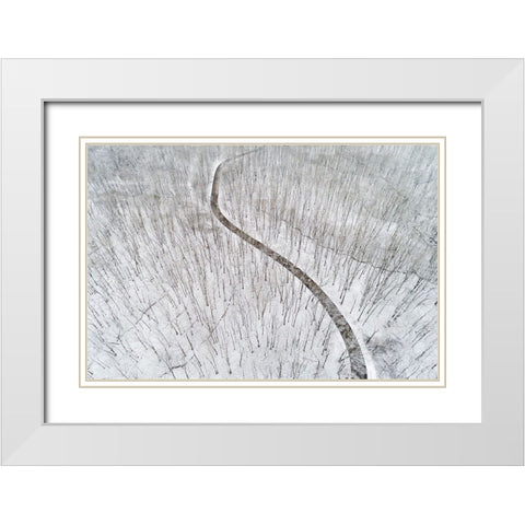 Aerial view of a fresh snow over the forest and road-Marion County-Illinois White Modern Wood Framed Art Print with Double Matting by Day, Richard and Susan