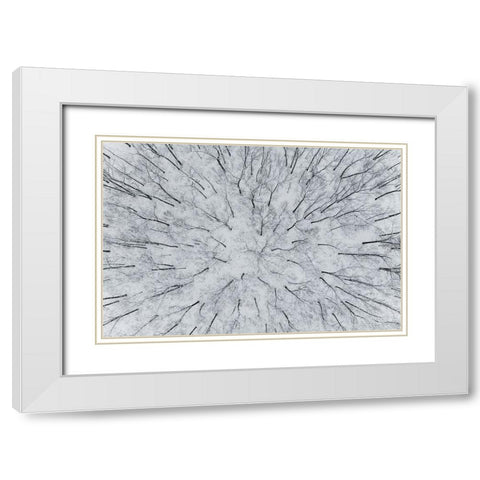 Aerial view of woods after a snowfall-Marion County-Illinois White Modern Wood Framed Art Print with Double Matting by Day, Richard and Susan