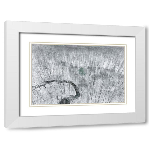 Aerial view of woods after a snowfall-Marion County-Illinois White Modern Wood Framed Art Print with Double Matting by Day, Richard and Susan