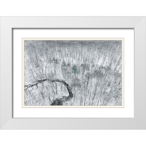 Aerial view of woods after a snowfall-Marion County-Illinois White Modern Wood Framed Art Print with Double Matting by Day, Richard and Susan